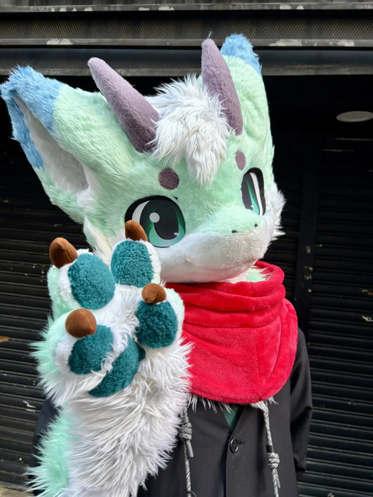 西門看Zootopia2！