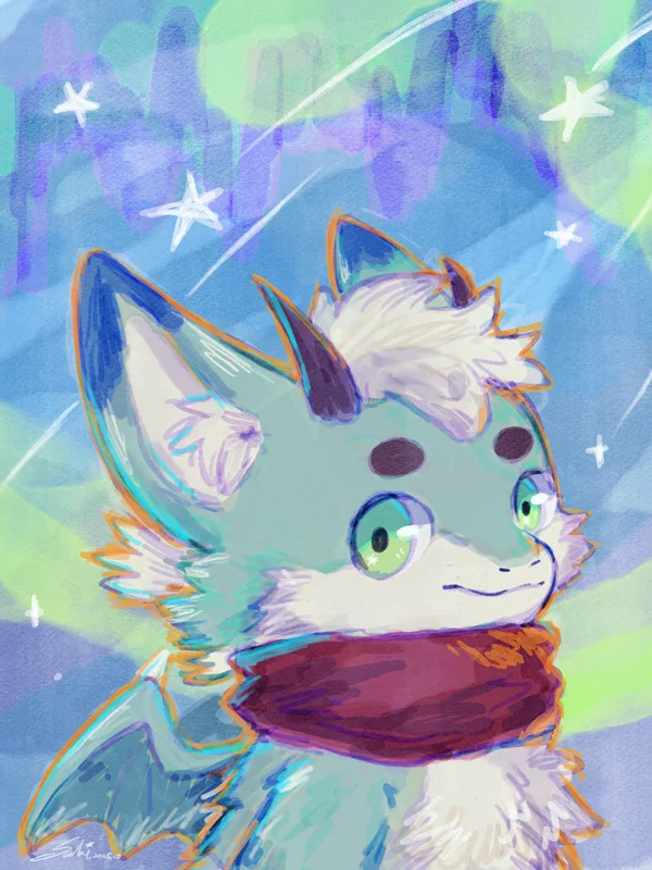 星空下的回眸！！